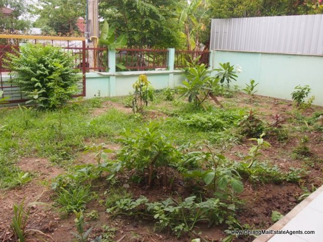 House for rent in Saraphi