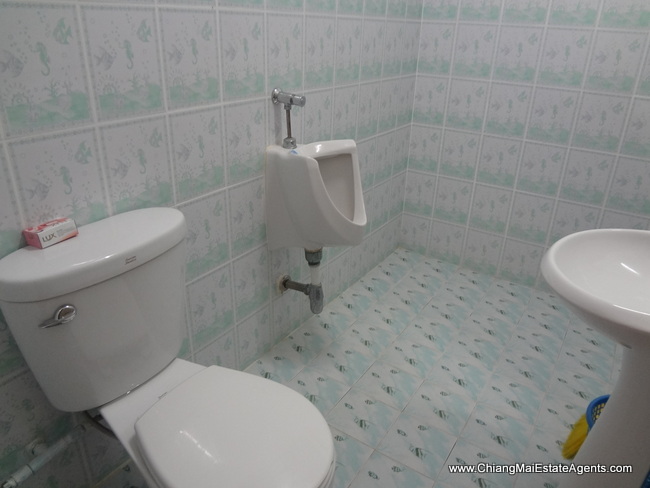 3 bedroom house for rent
