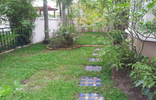 3 bed house for rent