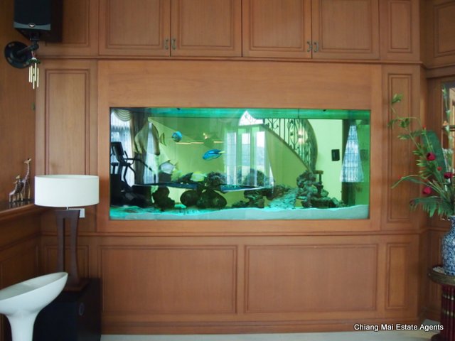 Exquisite Home with Swimming Pool For Sale