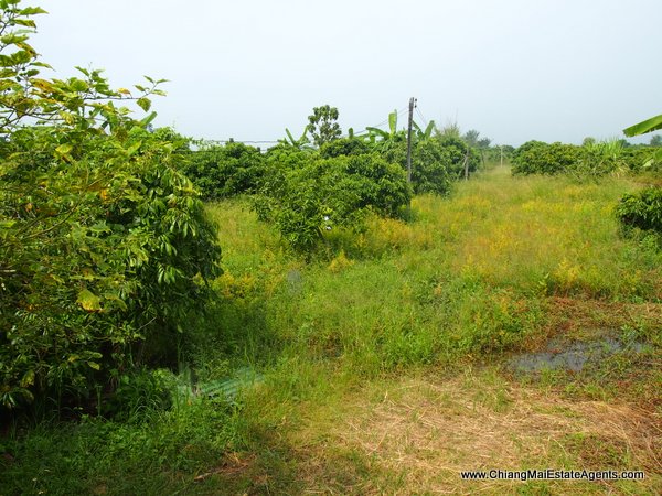 10 Rai of Land For Sale near Baan Tawai, Hang Dong