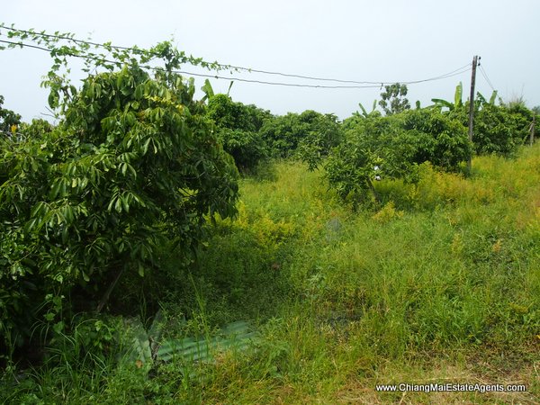 10 Rai of Land For Sale near Baan Tawai, Hang Dong