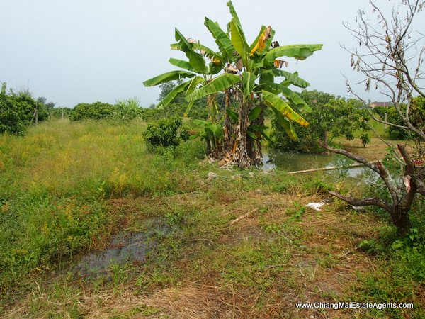 10 Rai of Land For Sale near Baan Tawai, Hang Dong