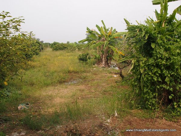 10 Rai of Land For Sale near Baan Tawai, Hang Dong