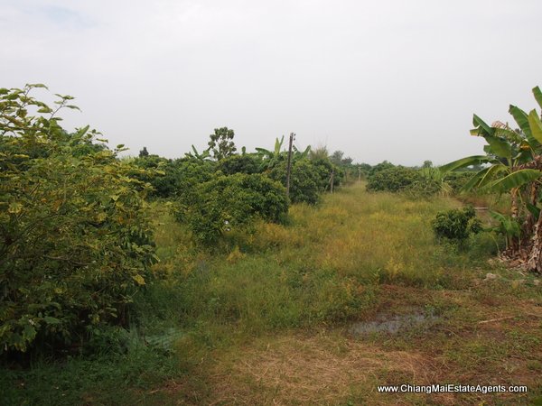 10 Rai of Land For Sale near Baan Tawai, Hang Dong
