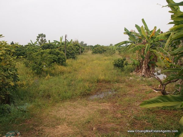 10 Rai of Land For Sale near Baan Tawai, Hang Dong
