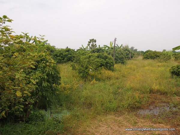 10 Rai of Land For Sale near Baan Tawai, Hang Dong