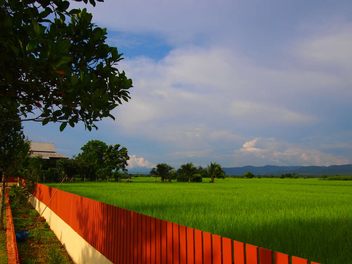 Beautiful New Home in Scenic Location