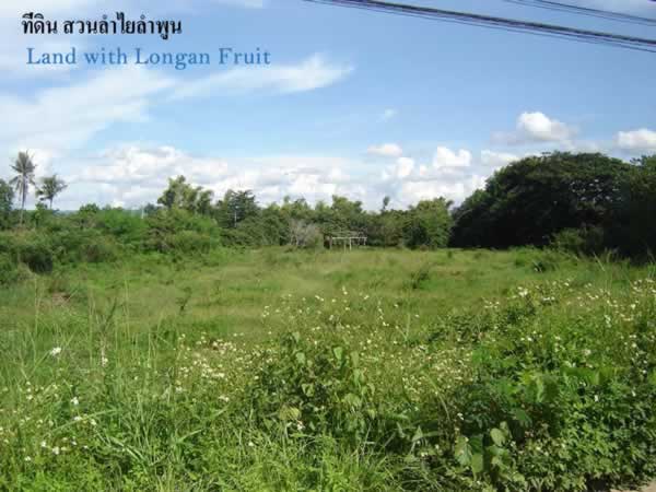 13 Rai of Land for Sale in Lamphun