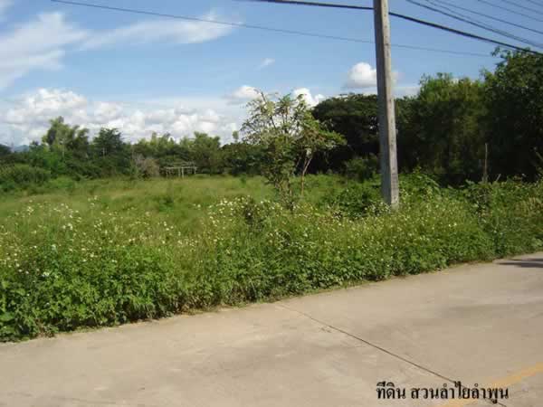 13 Rai of Land for Sale in Lamphun