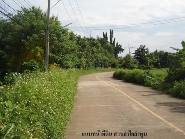 13 Rai of Land for Sale in Lamphun