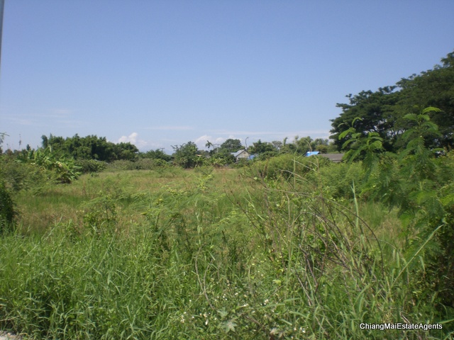 Excellent 9.2 Rai of Land for Sale in SanPatong - Land