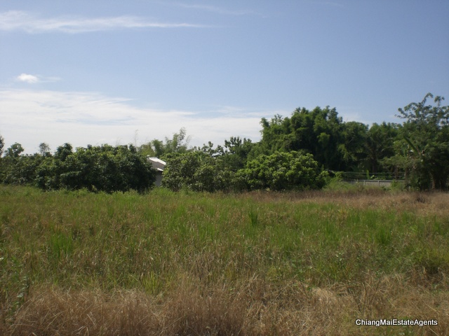 Excellent 9.2 Rai of Land for Sale in SanPatong - Land