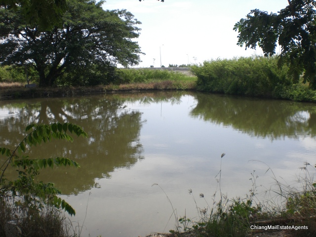Excellent 9.2 Rai of Land for Sale in SanPatong - Land