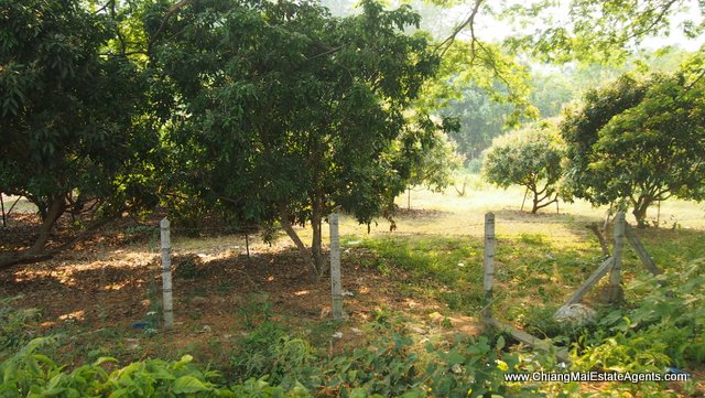 7 Rai in Ban Pong