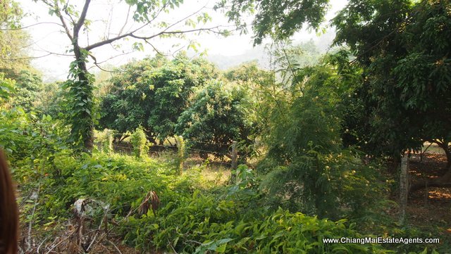 7 Rai in Ban Pong