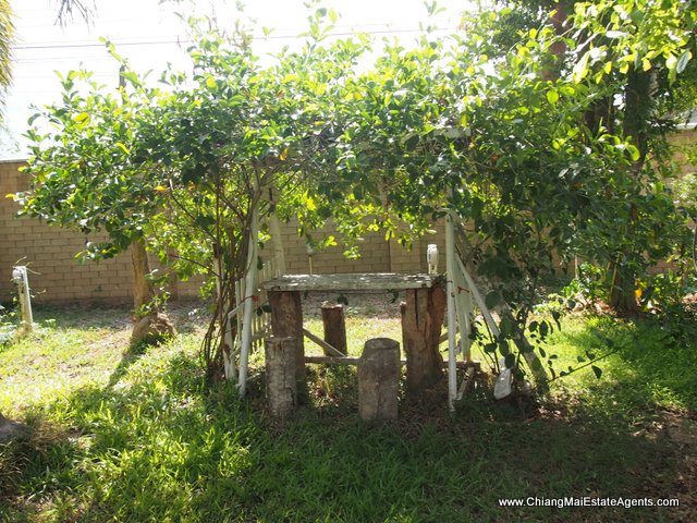 2 Homes on One Plot - Great Value in Home in Park