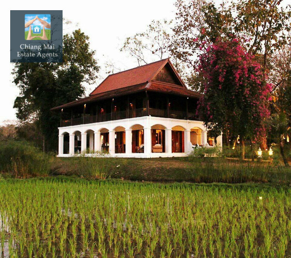 Resort for Sale in Doi Saket with Stunning Views