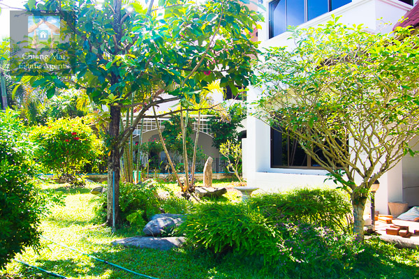 House for Rent in Ban Nai Fun