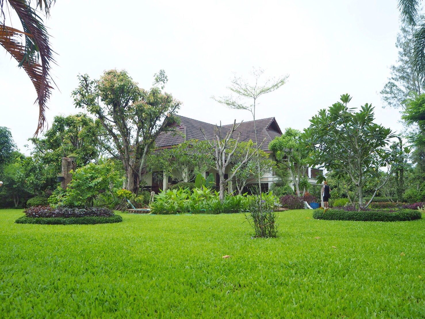 Large Home For Sale Or Rent In Saraphi
