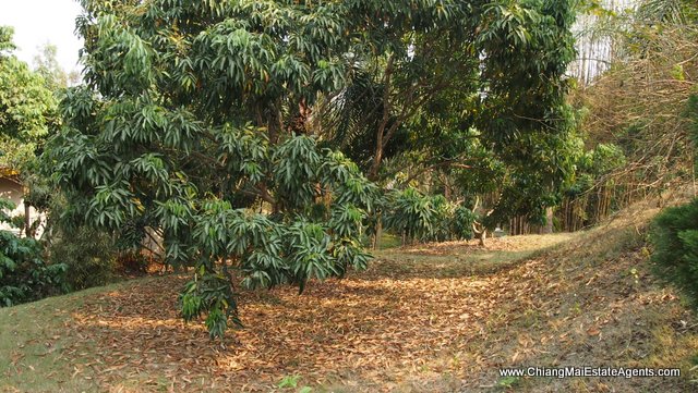 6 Rai of Land for Sale in Ban Pong