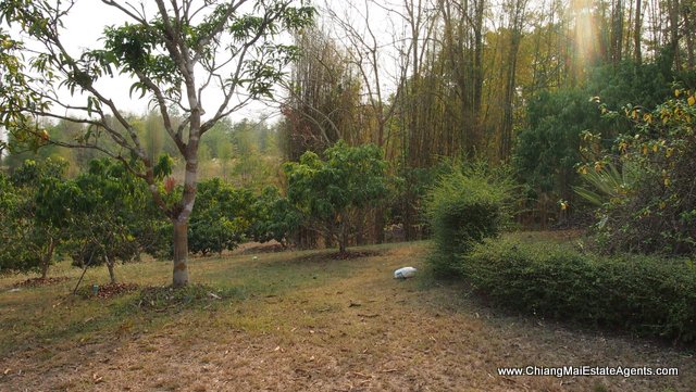 6 Rai of Land for Sale in Ban Pong