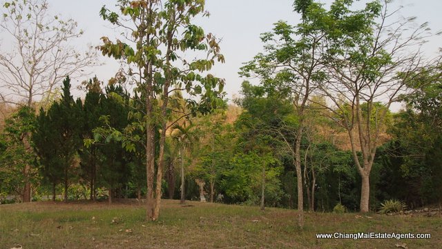 6 Rai of Land for Sale in Ban Pong