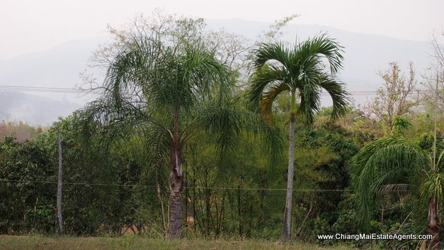 6 Rai of Land for Sale in Ban Pong