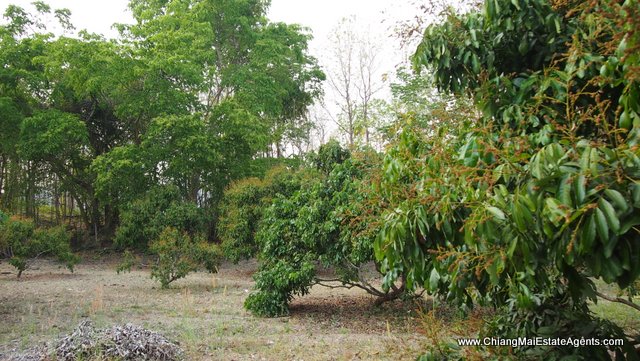 6 Rai of Land for Sale in Ban Pong