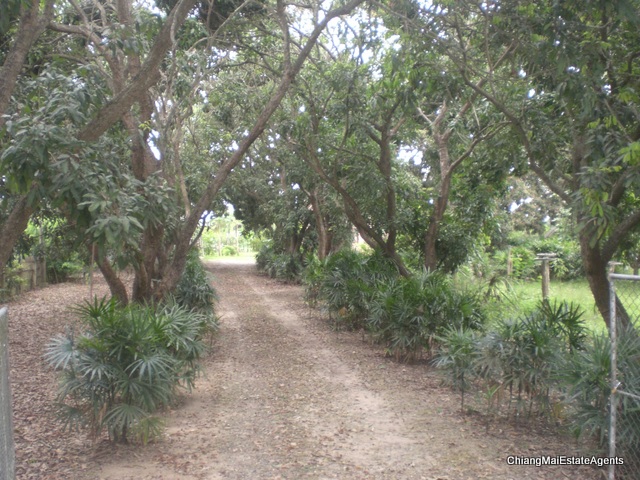 Superb Riverfront 4 Bed/3 Bath Modern Lanna Style Teak Home For Sale