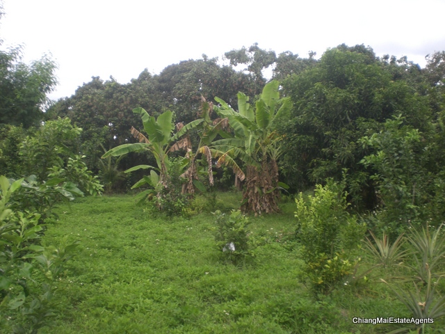 Superb Riverfront 4 Bed/3 Bath Modern Lanna Style Teak Home For Sale