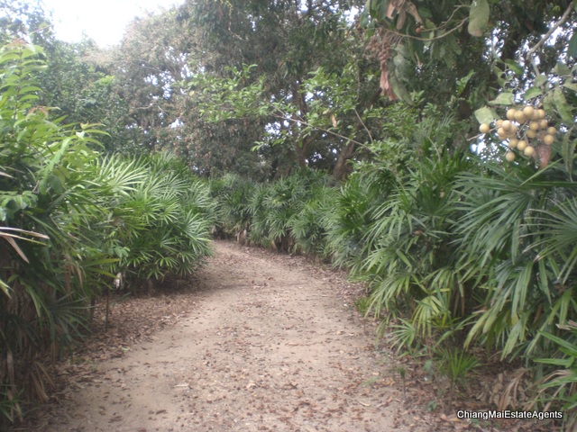 Superb Riverfront 4 Bed/3 Bath Modern Lanna Style Teak Home For Sale