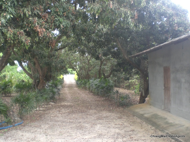 Superb Riverfront 4 Bed/3 Bath Modern Lanna Style Teak Home For Sale