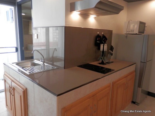 Newly Renovated 2 Bedroom/ 2 Bathroom Condo For Sale