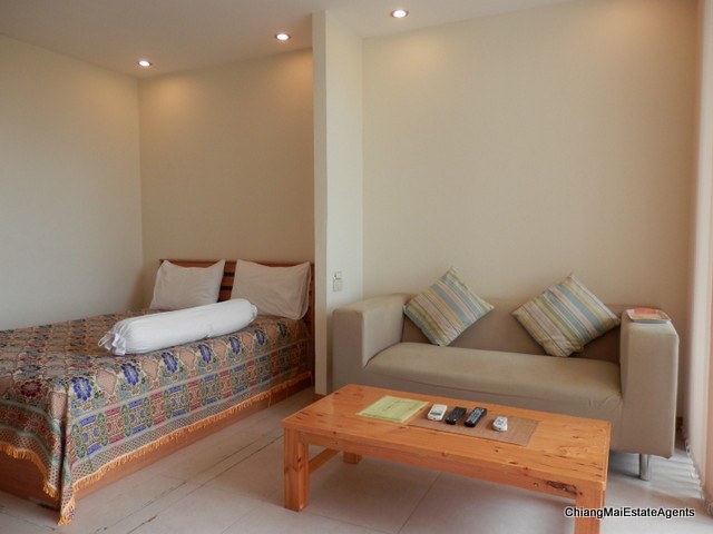 Tastefully Renovated Studio Condo For Rent