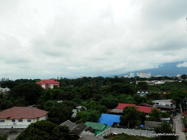 Tastefully Renovated Studio Condo For Rent