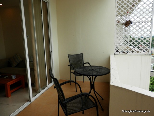 Tastefully Renovated Studio Condo For Rent
