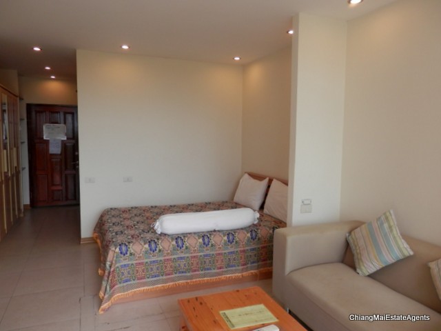 Tastefully Renovated Studio Condo For Rent