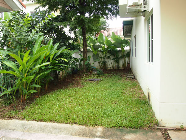 Spacious 3 Bedroom in Sri Walee