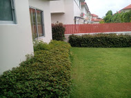 House for Sale and Rent in Nuifun4