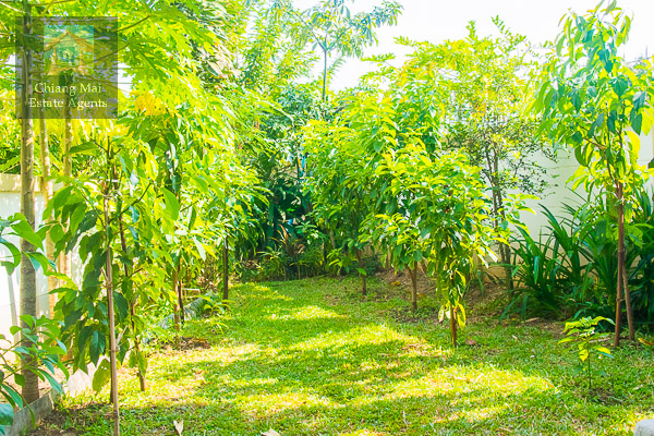 House In Rungaroon Ville For Sale