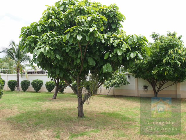 Large 4 Bed Family Home for Sale in Rungaroon