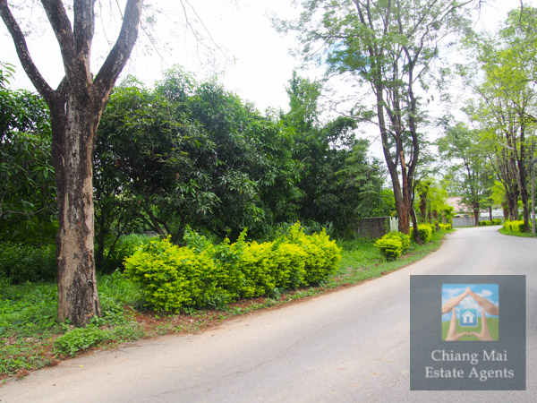 Land For Sale in Moo Baan Wang Tan - Land