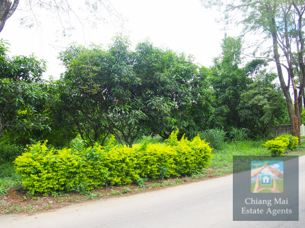 Land For Sale in Moo Baan Wang Tan - Land