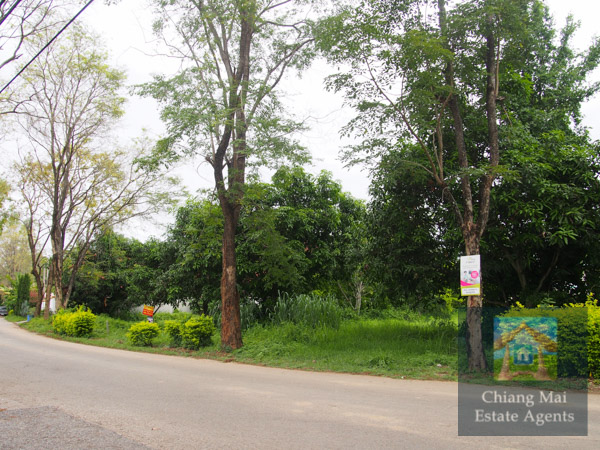 Land For Sale in Moo Baan Wang Tan - Land