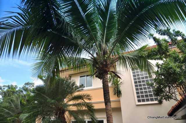 Most Beautiful 4 Bed/3 Bath Home For Sale