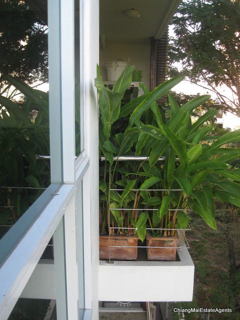 Large 1 Bedroom Apartment for Sale in a Fabulous Position