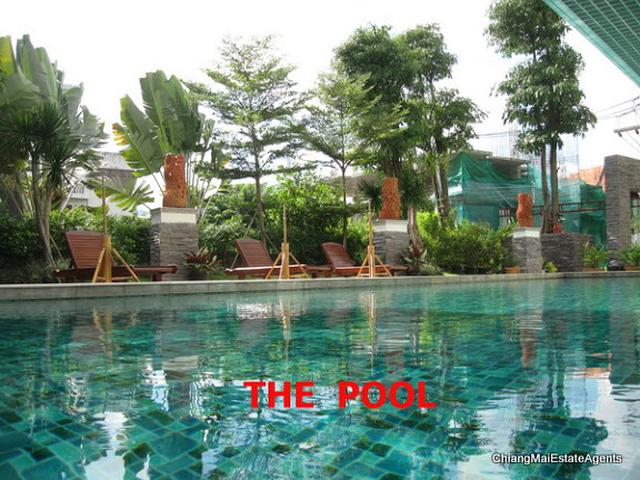 Large 1 Bedroom Apartment for Sale in a Fabulous Position