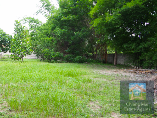 Large Office and Land For Sale in Nam Phrae