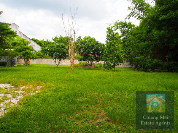 Large Office and Land For Sale in Nam Phrae